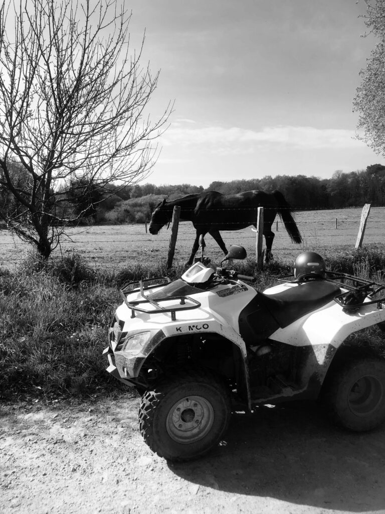Photo SSP Quad